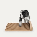 독톡 강아지 배변판 연장형 패드 필요 없는 애견 화장실 대형