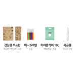 강낭콩 성장과정 만들기 1인세트