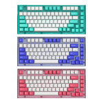 앱코 앱코 AG75 가스켓 마운트 RGB 교체축 기계식 키보드 퍼플 블루