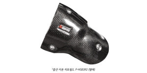 아크라포빅 아크라포빅 -22 풀 시스템 머플러 G310R G310GS