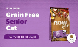 킹펫 나우 NOW 그레인프리 캣 시니어 1 36kg
