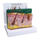 GPI 정상피부와 헤어 노화와 탈모보건교육 인체해부G390