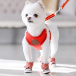 강아지 신발 캔버스 슈즈 외출 산책 운동화