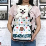 강아지 앞가방 고양이 슬링백 백팩 산책 외출 미디움