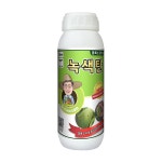 녹색탄 엽록소강화 광합성증가 바이오플랜