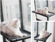 매쉬 통풍 창문 윈도우 고양이 해먹 CA12