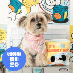 바잇미 바잇미 잇츠런드리데이 노즈워크 플레이북