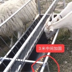 사료통 축사 먹이통 여물통 송아지 가축 양 염소 농장