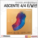 다다리오 다다리오바이올린현낱선 ASCENTE 4 4 E 낱선 아센테