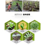 농업용 육모 관수 상자 플라스틱 화분 컵 포트 원예