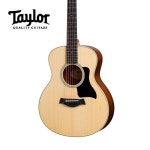 테일러 Taylor 테일러 GS mini 지에스미니 Rosewood 로즈우드