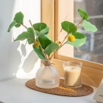 MOMENT 모먼트 기프트 박스 유칼립투스 골든볼 디퓨저 268793