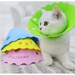 닥터잔스 컬러 소프트 프로텍션커버 S 색상랜덤