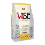 데이스포 와이즈 올스테이지 오리 연어