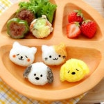 동물 주먹밥틀 강아지 고양이 김펀치세트 모양틀 소풍 어린이집 도시락 꾸미기
