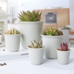 원형 플라스틱 화분 2호