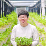 장성 문영철농부 새싹삼 새싹인삼 120뿌리