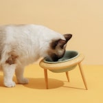 강아지 밥그릇 고양이 식기 급식기 물그릇 UFO
