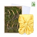 장내삼 산양산삼 장래삼 산양삼 장뇌삼 선물세트