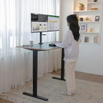 카멜마운트 고든 듀얼 슬라이드 모니터암 GDA2BD