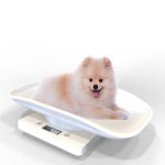 아기 고양이 강아지 저울 체중계 소형