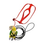 버드하네스 조류 비행 훈련 밧줄 하네스 애완 동물 새 버드하네스 조류 비행 밧줄 동물 새