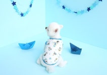 패리스독 강아지 고양이 피너츠 크루 쟈가드 티셔츠