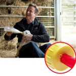 염소니플 양 염소 젖꽂지 우유 고무 새끼 스프라이트 염소니플 GD12928