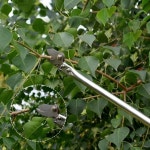 야외 작업공구 2 5m 고지전지가위 정원관리 원예용품