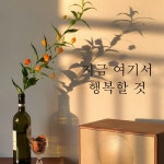 MUSE 뮤즈 지금 여기서 행복할 것 레터링 글귀 스티커 시트지 S