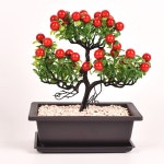 모던심플 다육이 미니사각 다크닉화분 1313대 화분