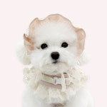 이츠독 이츠독 린넨 플로라 보닛 강아지 고양이 모자