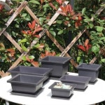 다육이 사각화분 미니 다크닉사각화분 1313대 화분