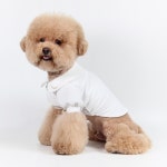 패션펫플 카라 잎자수 블라우스 강아지 가을 셔츠 1개