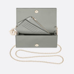 DIOR WOC 미니 백 그레이 페이던트 S0204OVRB M41G
