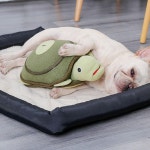 거북이 노즈워크 장난감 강아지노즈워크 그린 BND-A25