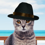 해피파티 펫 모자 중절모 강아지 고양이 애견용품