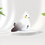 펫데이즈 미묘 키티버드