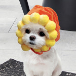 해피파티 펫 모자 해바라기 강아지 고양이 애견용품
