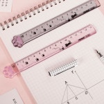 고양이 발바닥 젤리 자