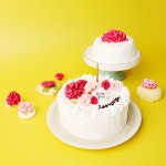 가정의달 어버이날 감사 카네이션 미니 케이크 만들기 DIY 세트