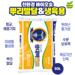 왕대박골드 원예용상토 50L 대용량 상토 모종 육묘 씨앗 발아 전용 흙 용토