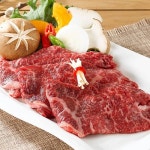 함평축산농협 함평천지한우 1++등급 채끝