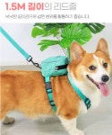 반려동물 백팩 하네스 리드줄 L 애견 가방 여름하네스