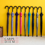 카르페디엠 카르페디엠 스마트 65 12K 곡자 장우산 S017