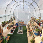 씨앤케이코리아 CNK 조립식 소형 미니 비닐하우스 미니온실 온실 채소용 다육이 CK-TGH222