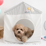 패리스독 D17 반려동물 패리스독 밀라 프레임 하우스