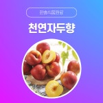 한솔식품원료 천연향료 천연자두향 30g 50g 100g