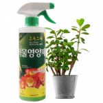 고급영양소 식물 스프레이 영양제 식물영양제