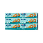 미주라 미주라 허니비스켓 100g 6개